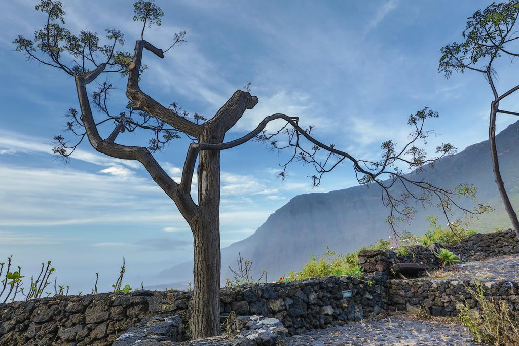 Casa Rural De Piedra Frontera Pokoj fotografie